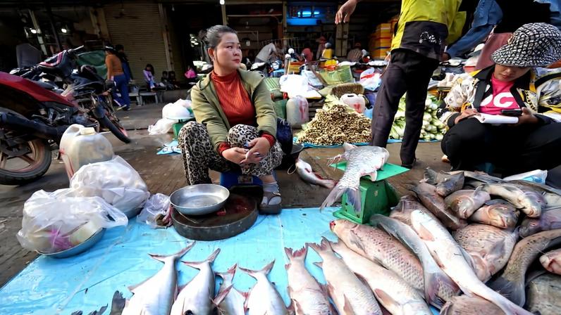 Pesquisa de mercado cambojana: Mekong resiliente, mas sob pressão
