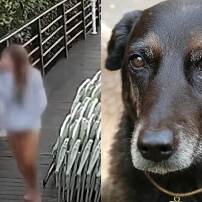 Cão Orelha: o que aconteceu com os adolescentes após 2 meses