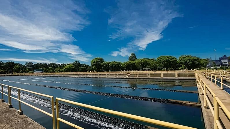 Por essa iniciativa, cerca de 115 bilhões de litros de água foram economizados até o mês de março
