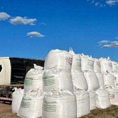 BHP antecipa escassez de potássio e busca contratos no Brasil