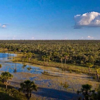 Pradarias e areas úmidas perdem para agricultura quatro vezes mais que florestas