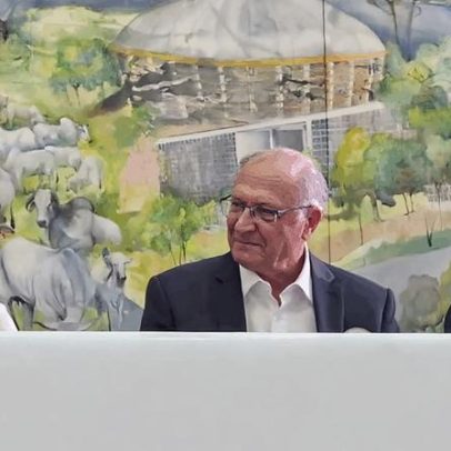 Tebet defende que Alckmin permaneça como vice-presidente