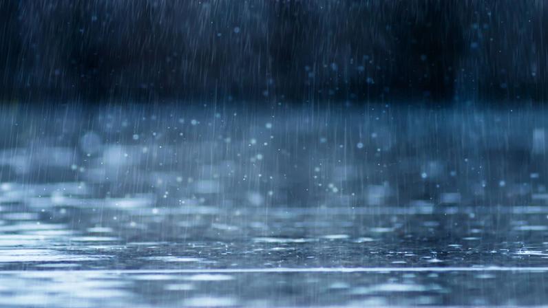 Rain fall on the ground in rains season.