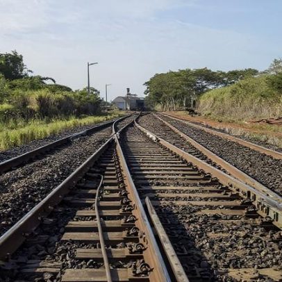 Ferrogrão continua parado; TCU, STF, MPF e ONGs mantêm projeto suspenso