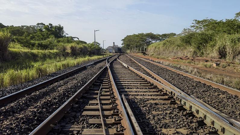 Ferrogrão: TCU, STF, MPF e ONGs mantêm projeto parado