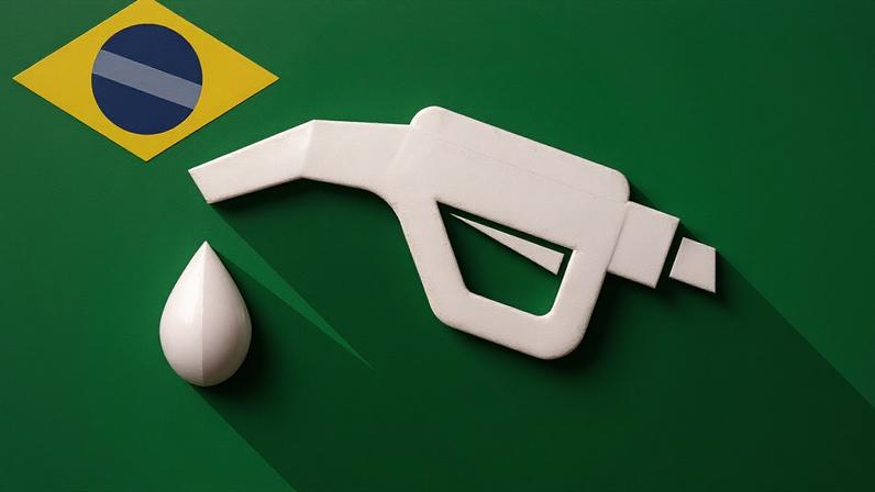 OPINIÃO. Boi no Pasto, PF no posto. Governos populistas e suas soluções fantasiosas