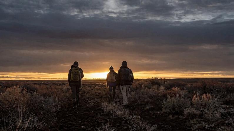 Conservacionistas enfrentam burnout; alguns estão à beira do colapso