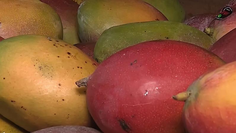 Jorge de Souza explica que, devido à tensão nas rotas comerciais, safras de frutas estão sendo prejudicadas