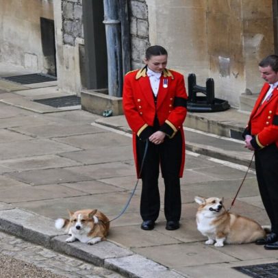 Ex-duquesa Sarah Ferguson nega rumores de clonagem de cães da rainha Elizabeth