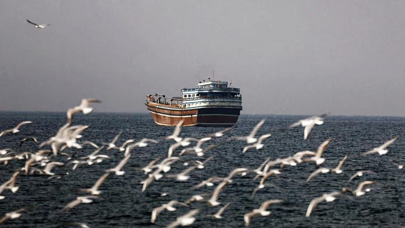 Birds fly near a boat in the Strait of Hormuz amid the U.S.-Israeli conflict with Iran, as seen from Musandam, Oman, March 2, 2026.REUTERS/Amr Alfiky/File Photo