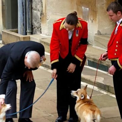 Sarah Ferguson nega planos de reality sobre clonagem dos cães da rainha