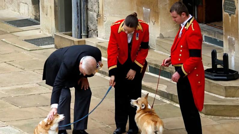 Sarah Ferguson nega planos de reality sobre clonagem dos cães da rainha