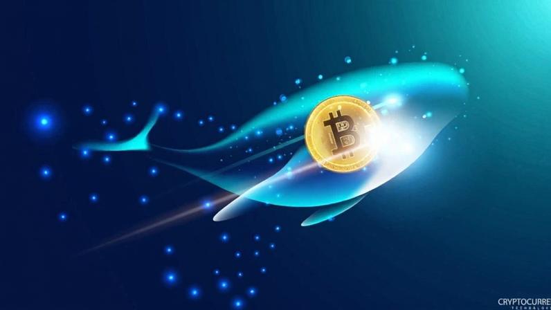 Ilustração de baleia nadando com moeda de bitcoin em seu interior