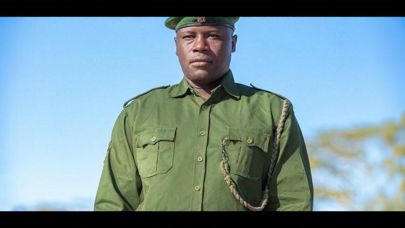 Legado de guarda-florestal queniana nas ações anti-caça na África