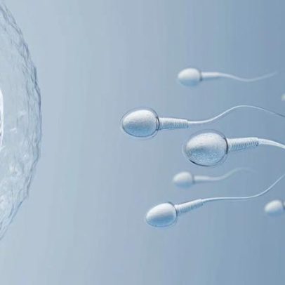 Espermatozoides perdem rumo na microgravidade, estudo sobre reprodução no espaço