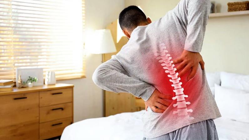 Hormônio ósseo pode aliviar dor nas costas, aponta estudo