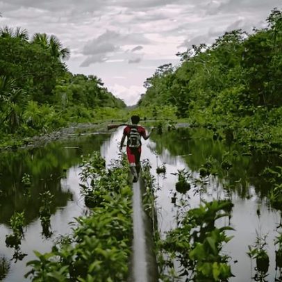 Ações de investidores estrangeiros atrasam proteção ambiental