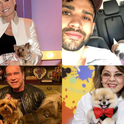 Explosão de fofura: os pets das celebridades que dominam as redes