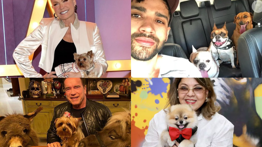 Explosão de fofura: os pets das celebridades que dominam as redes