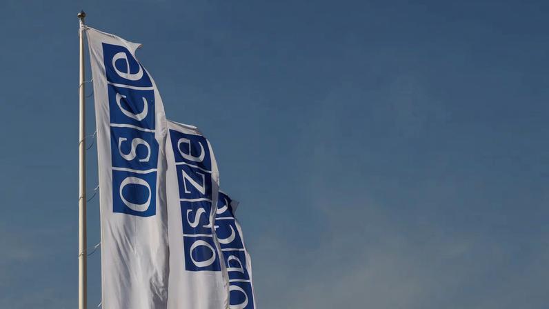Flags of the Organisation for Security and Cooperation in Europe (OSCE) are pictured outside their headquarters in Vienna, Austria February 15, 2022. REUTERS/Leonhard Foeger