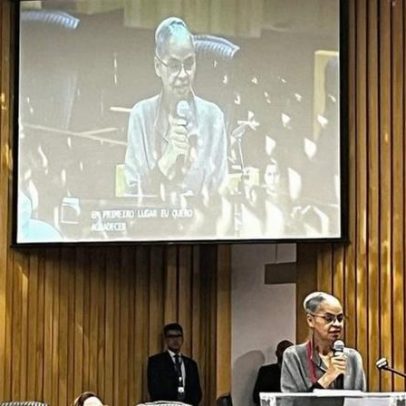 Desmatamento cai e agro cresce, aponta Marina Silva sobre conciliação