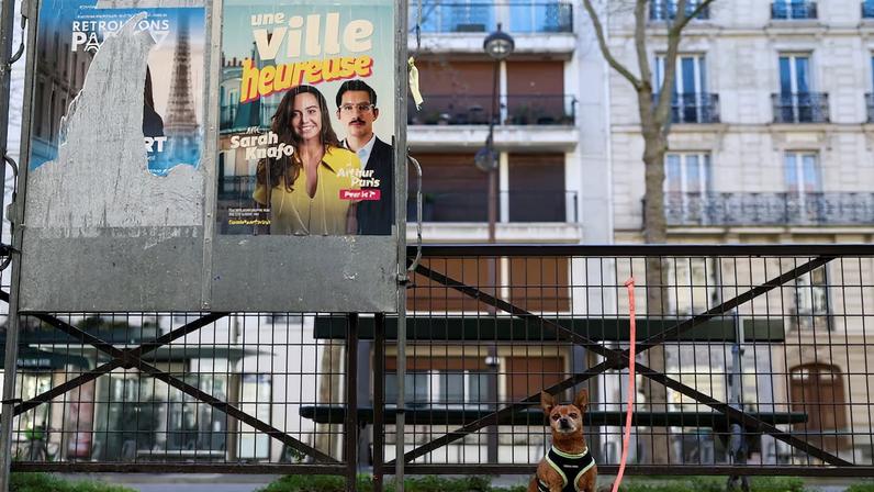 Cães dominam campanhas na corrida pela prefeitura de Paris