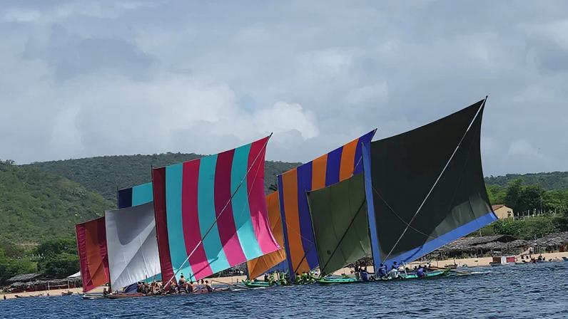As "Borboletas do Rio São Francisco" Pão de Açúcar - Ilha do Ferro (AL), 2025