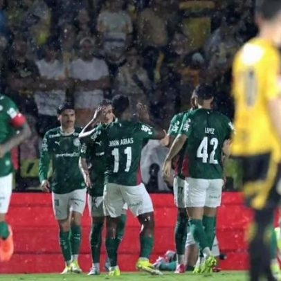 Palmeiras vence o Novorizontino e conquista o Paulistão