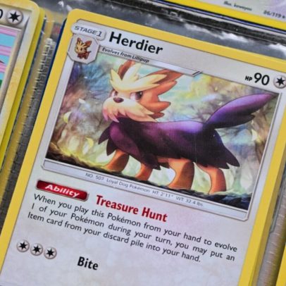 Cinco raças de cachorro reais que inspiraram os Pokémon
