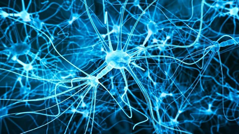 Molécula do envelhecimento mantém neurônios saudáveis. (Foto: Getty Images via Canva)