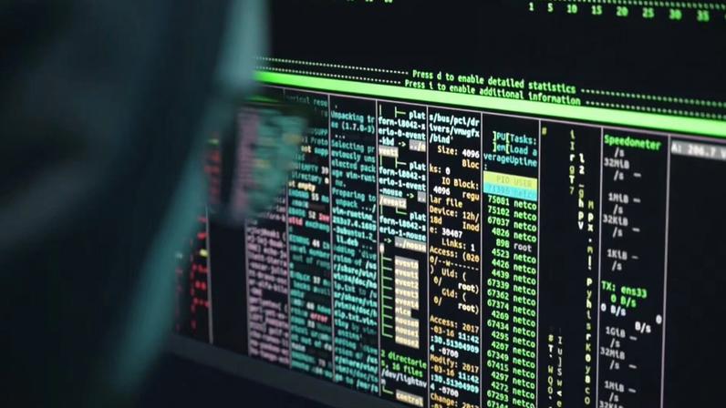 Especialista destaca importância de celeridade em fiscalizações