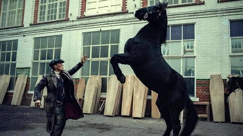 Peaky Blinders retorna ao ranking com lançamento de spin-off