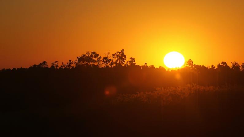 O aquecimento global já afeta a vida cotidiana em todo o mundo, aponta estudo