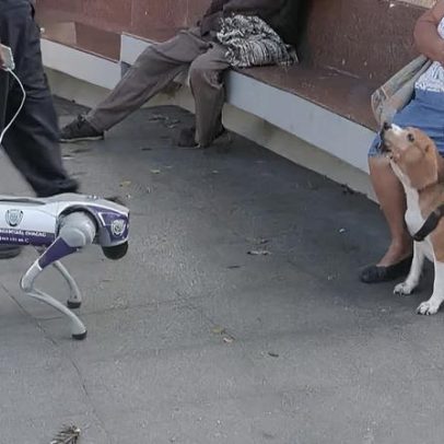 Cachorros-robôs chegam às ruas de Caracas como aposta de segurança na Venezuela