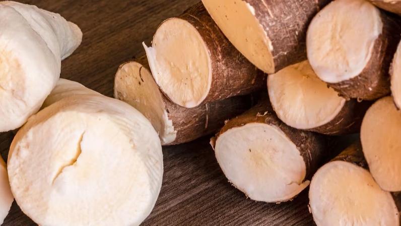 Raízes de mandioca cortadas sobre superfície de madeira. Algumas peças mantêm a casca marrom, outras estão descascadas mostrando interior branco.