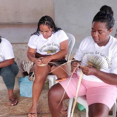 Palha de carnaúba é a principal fonte de renda de comunidade no Piauí