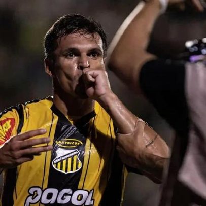 Novorizontino enfrenta Palmeiras pelo título do Paulistão para resgatar história