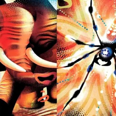 Vibrações no reino animal: sentidos de aranhas e elefantes têm algo em comum