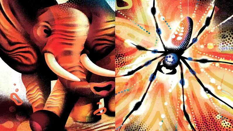 Ilustração de um eferente e uma aranha.