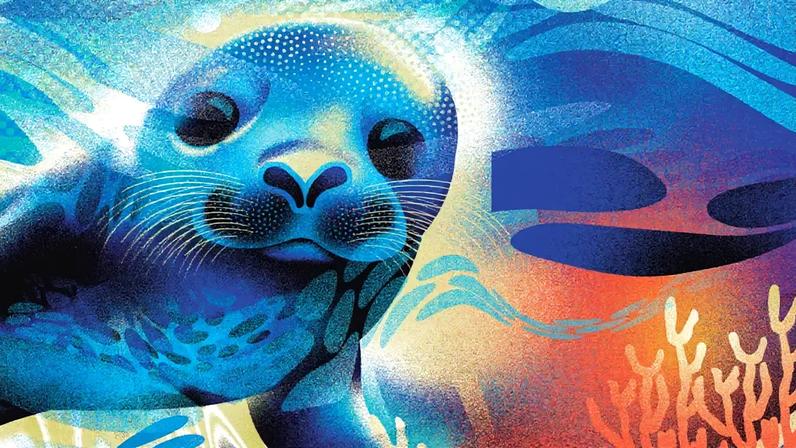 Ilustração multicolorida de uma foca.