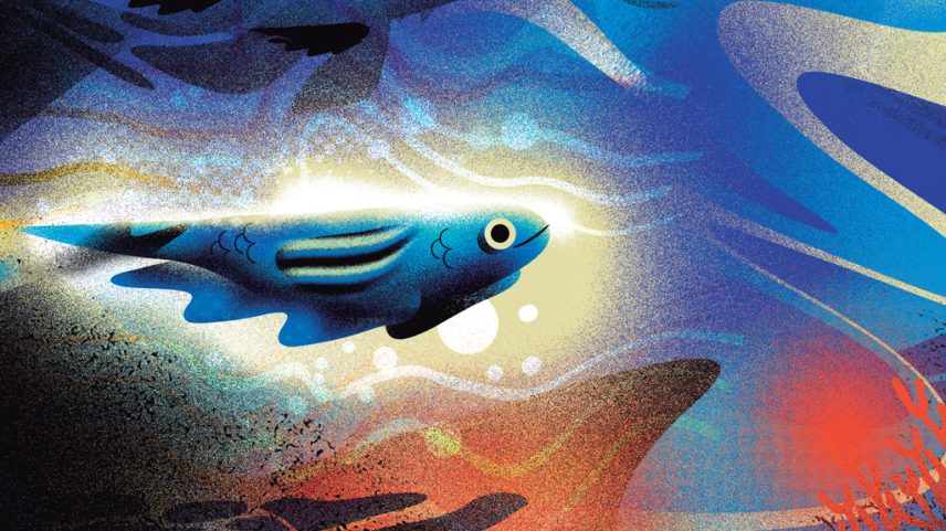 Ilustração multicolorida de um peixe.