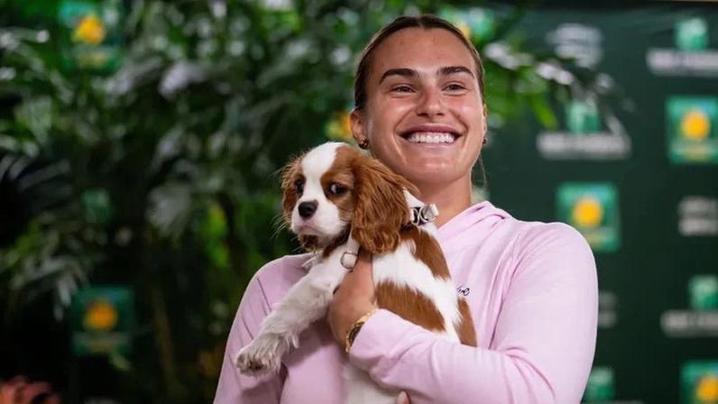 Sabalenka afirma que o pet Ash é um apoio para sua saúde mental
