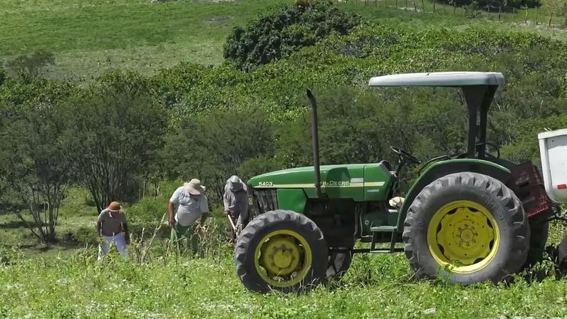 Trabalhadores rurais aram solo de propriedade no Pernambuco