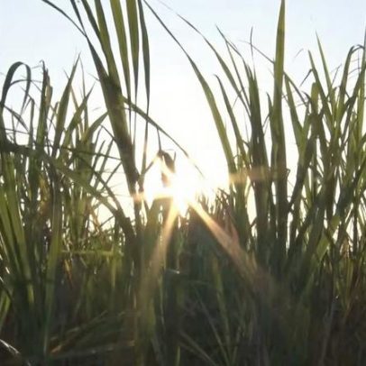Centro-Sul movimenta 1,25 bilhão de litros de etanol na primeira quinzena de março