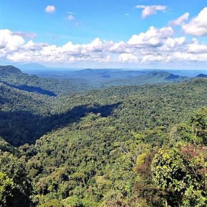 Novo corredor ecológico do Equador conecta Andes e Amazônia