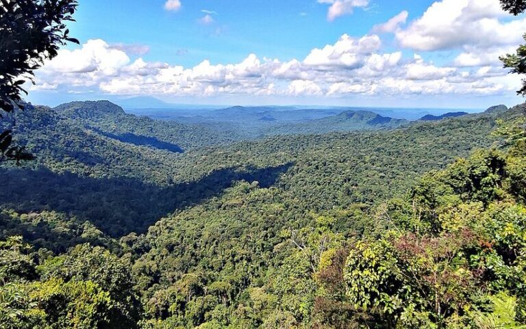Novo corredor ecológico do Equador conecta Andes e Amazônia