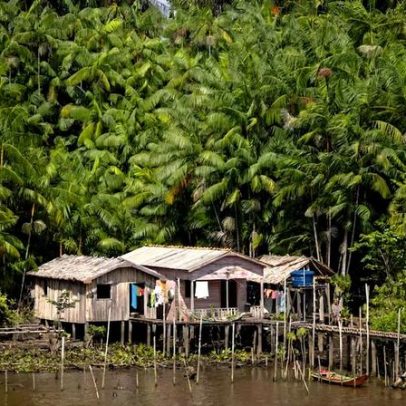 Brasil revisa plano climático até 2035 com foco em desmatamento