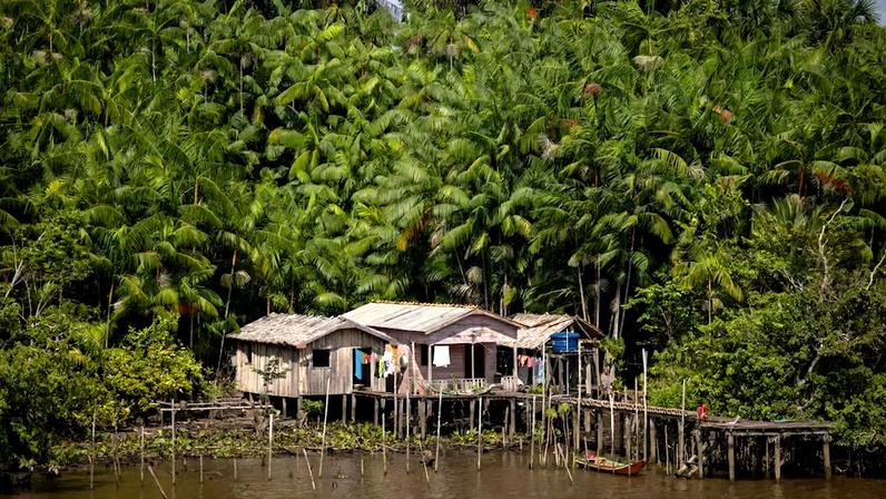Diferentemente da maioria dos países, a principal fonte de poluição por carbono no Brasil é a mudança no uso da terra
