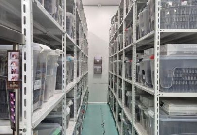Farmácia mantinha mais de 1 milhão de medicamentos injetáveis irregulares