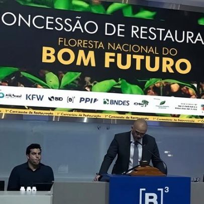 Carbono estreia na B3 como ativo de floresta